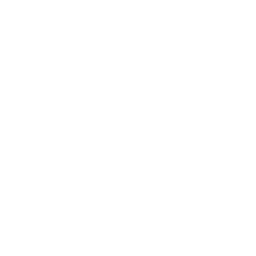 Comprehensive Consultation