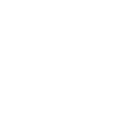 Personalized Treatment Plan